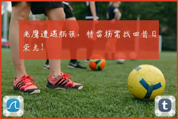 老鹰遭遇瓶颈，特雷杨需找回昔日荣光！